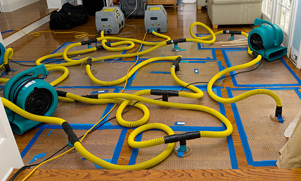Professional Structural Drying And Dehumidification technician working in Yorktown Heights, NY